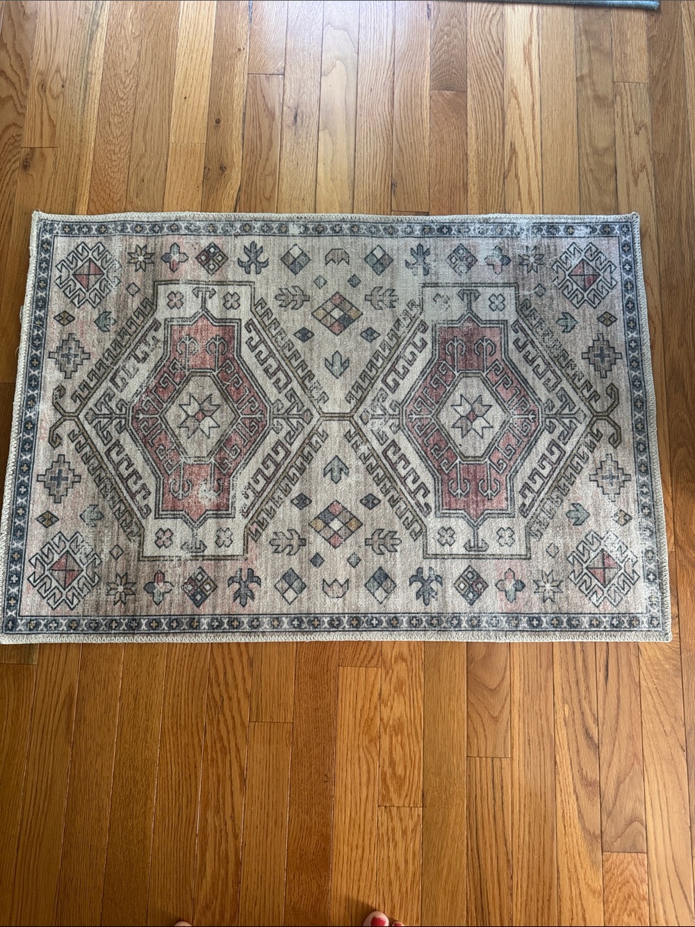 Vintage-Inspired Area Rug with Dusty Rose Medallions